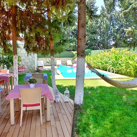 Le Vent アラカティ